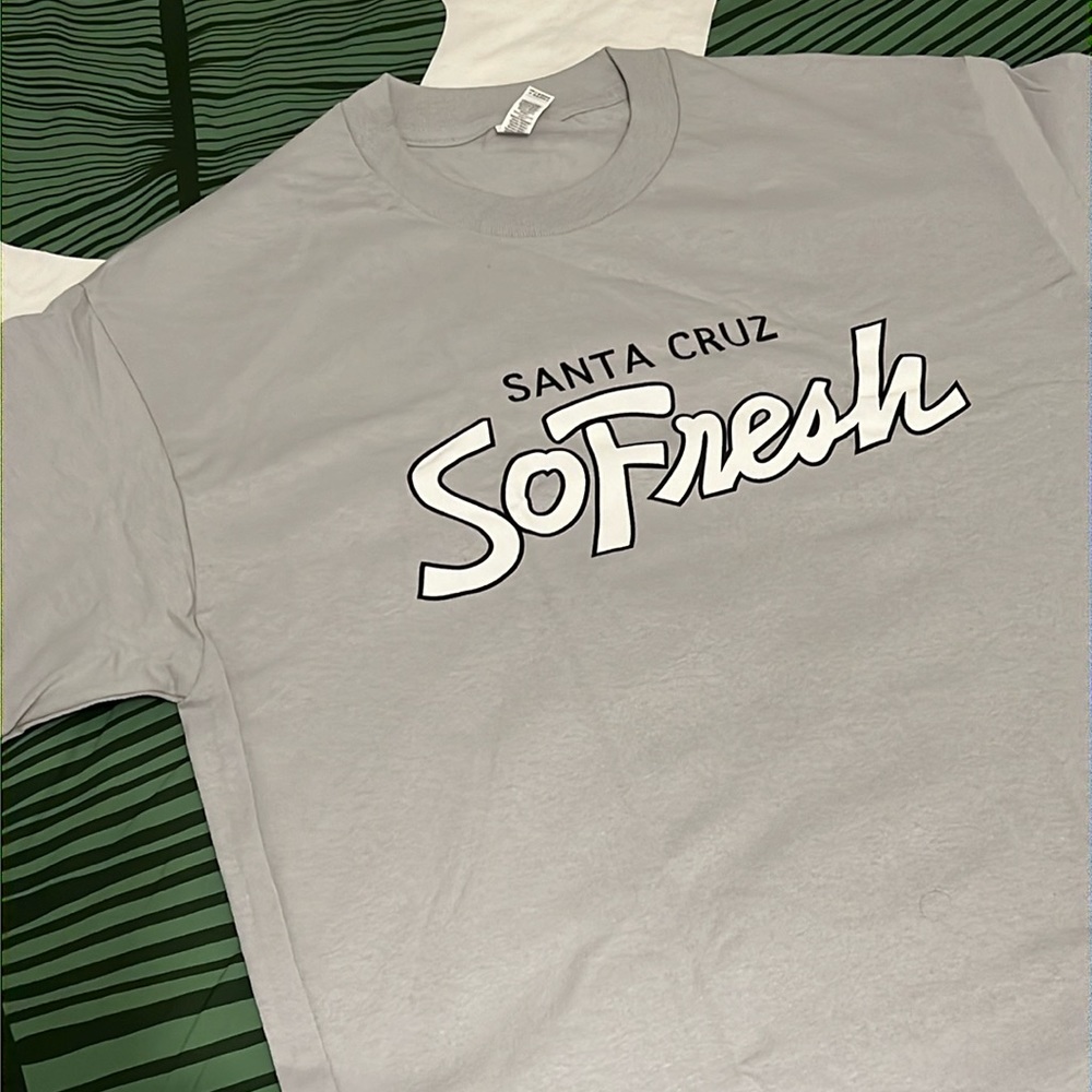 Santa Cruz So Fresh Grey t-shirt - Brand New